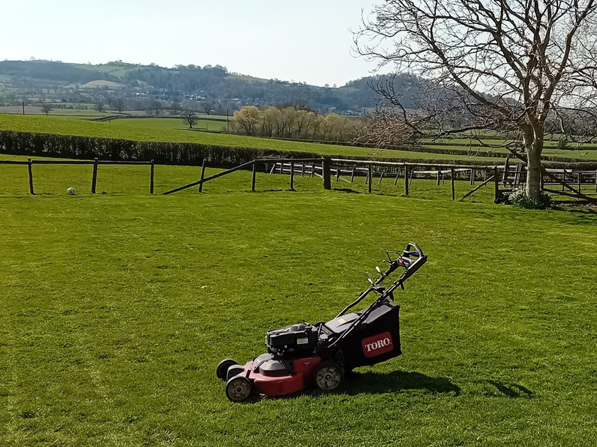 grass cutting